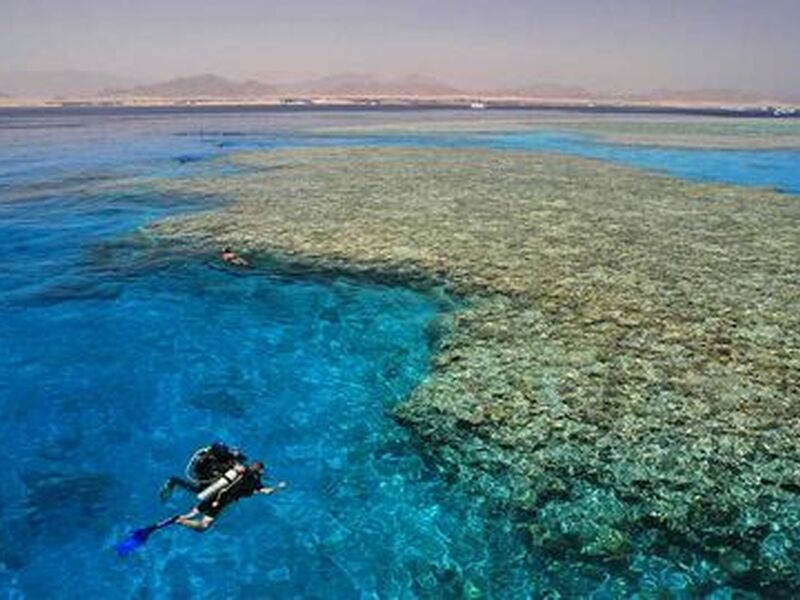 Baştanbaşa Mısır Masalı (Sharm – Kahire – Hurghada) 8 Gece – 9 Gün (7 Gece Otel Konaklaması)