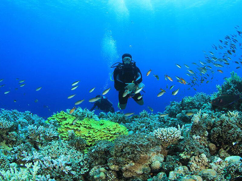 Kurban Bayramı Özel Kahire – İskenderiye ve Sharm el Sheikh Masalı  6 Gece – 7 Gün (5 Gece Otel Konaklaması)