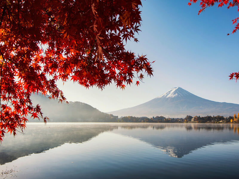 Görkemli Uzaklar Hong Kong & Japonya 7 Gece - THY ile 29 Ağustos (2026 Yaz Dönemi) (HKG-NRT) AT1314