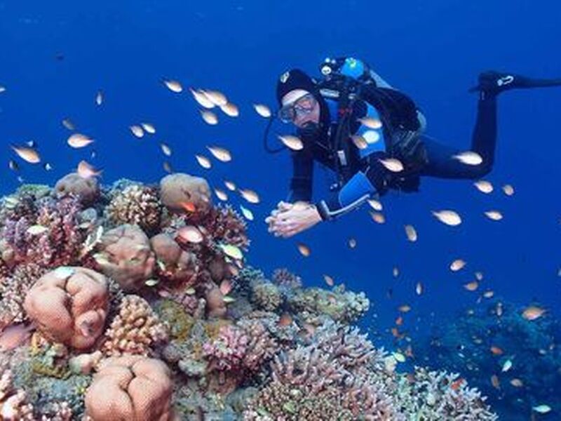 Baştanbaşa Mısır Masalı (Sharm – Kahire – Hurghada) 8 Gece – 9 Gün (7 Gece Otel Konaklaması)